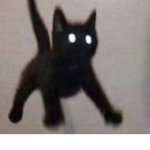 xd michis