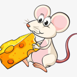 Spicy Cheese Nation