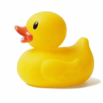 Hi DUCKS