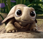 PokeKevin group