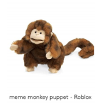 baby monkey clan
