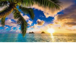 Aesthetic Hawaii :D
