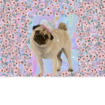 cheesy pugs