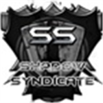 Shadow Syndicate Government