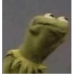 Kermit creators