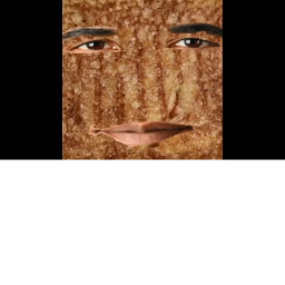 meet grilled cheese obamasandwhich