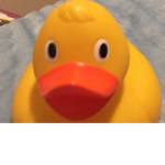 #theduck