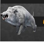 Wild Boar Farm