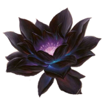 BIack Lotus