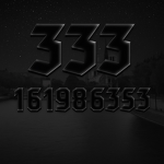 333 '