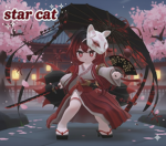スターにゃんの猫カフェ