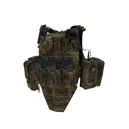 RVS Plate Carrier (Multicam Ver.)