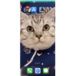 cattttttttttttttttttt.