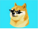 Doge Appreciation Group!!!