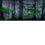 Robux _friend _group<3