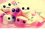 ~ Happy cow ice cream ~