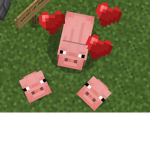 PigGiEs tEehEe:]