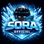 sora officiel community