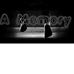 The lost memories