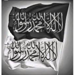 AFG786786