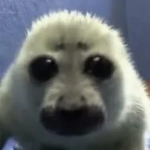 test thing hello