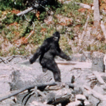 Cryptid Knowledge