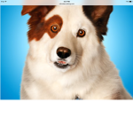 Dog with a blog indistrees