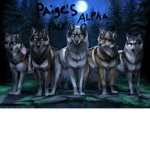 Paiges alpha pack