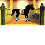 Pro horse rider lol