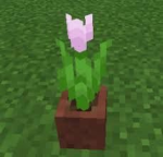 fleurs<3