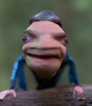 TDucks17