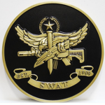 Mano County police S.W.A.T