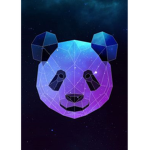 Pancake panda Playz clothing store