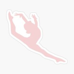 Fly-High Gymnastics Team