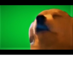 Think BIG Think DOGE!!