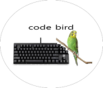 Codebird Studio