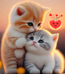 cut3cAts