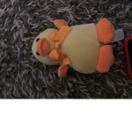 The ducky's are the best