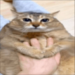 Kai_pogchamp Homies