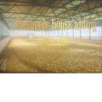 Pineapple horse riding sabable