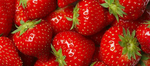 Erdbeeren sind cooool