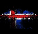 [IA] - Icelandic Army Military Police