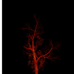 Exlight