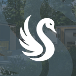 The White Swan LTD