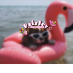 •ᴘᴀɪsʟᴇʏs•ᴡᴏʀʟᴅ•