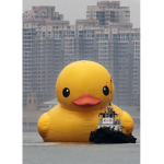 Rubber-duck army