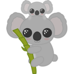 iipinkoala!!