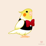 THE BIRDS NAN