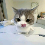 Febiven