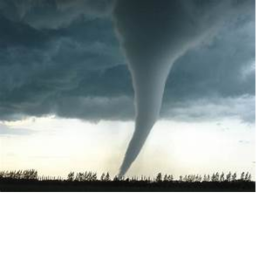 Survive The 4 Tornadoes